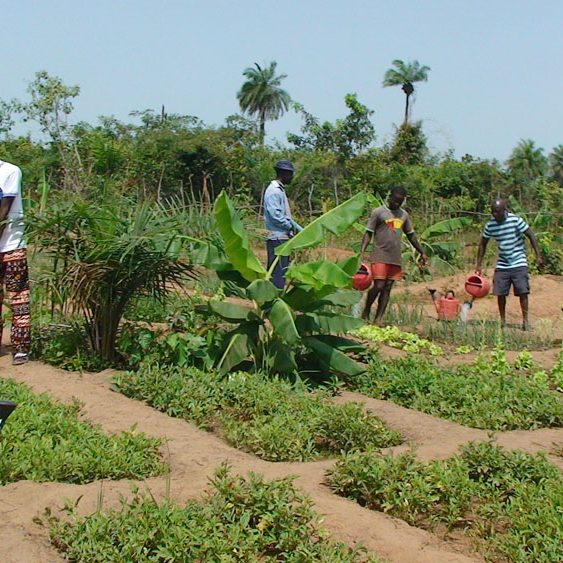 ora international hilft in Guinea-Bissau