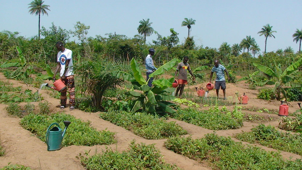 ora international hilft in Guinea-Bissau