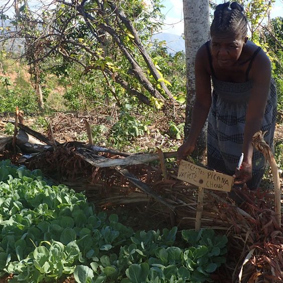 ora international arbeitet in Haiti