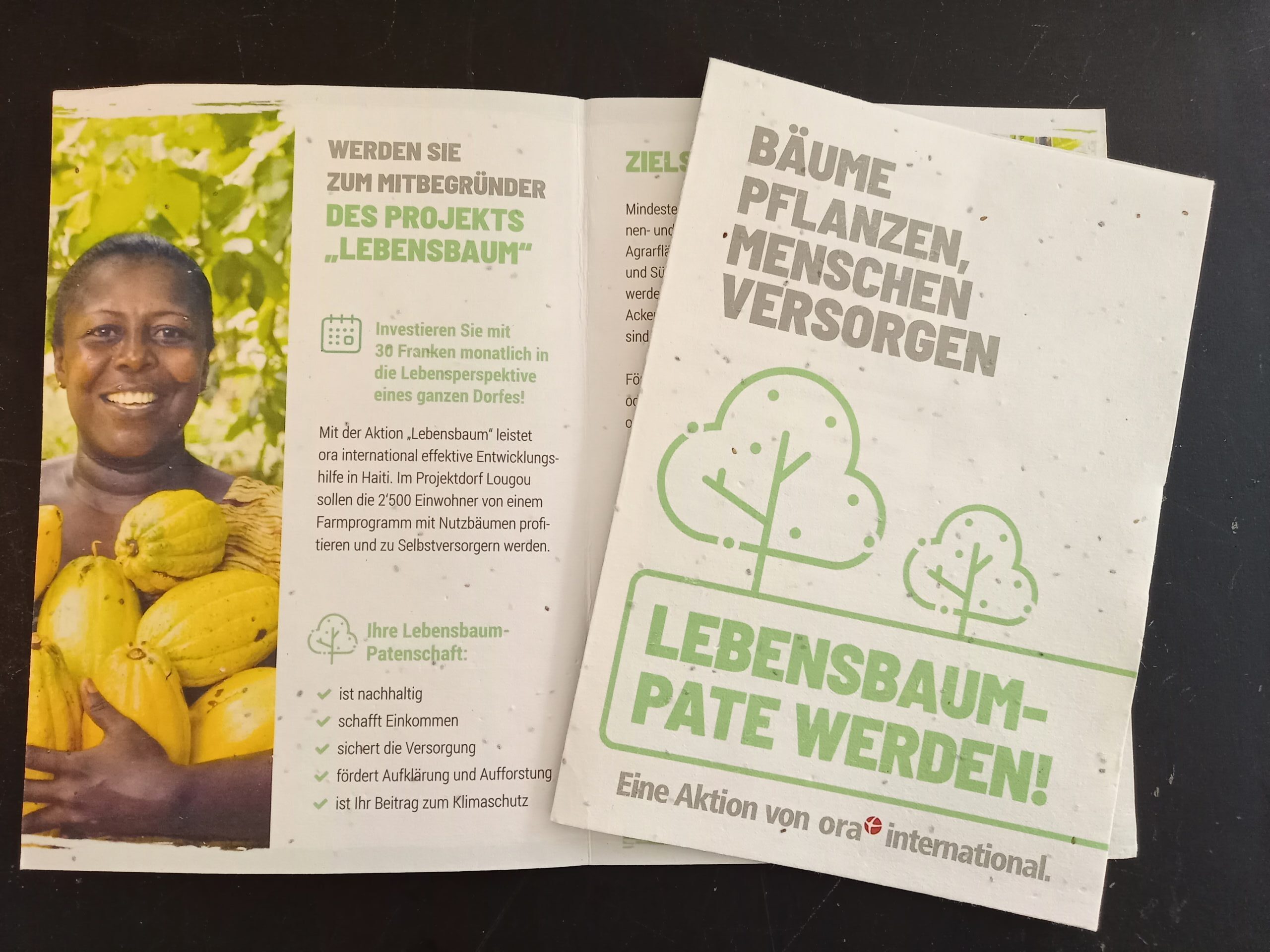 ora international in Haiti – Lebensbaum Pate ora international Haiti - Lebensbaum Pate