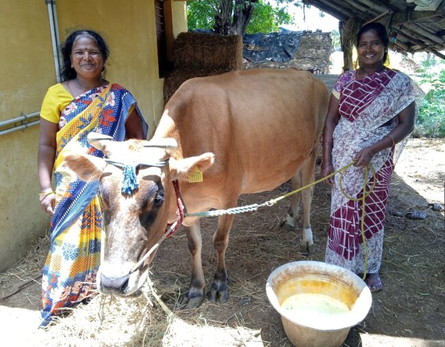 ora in Indien