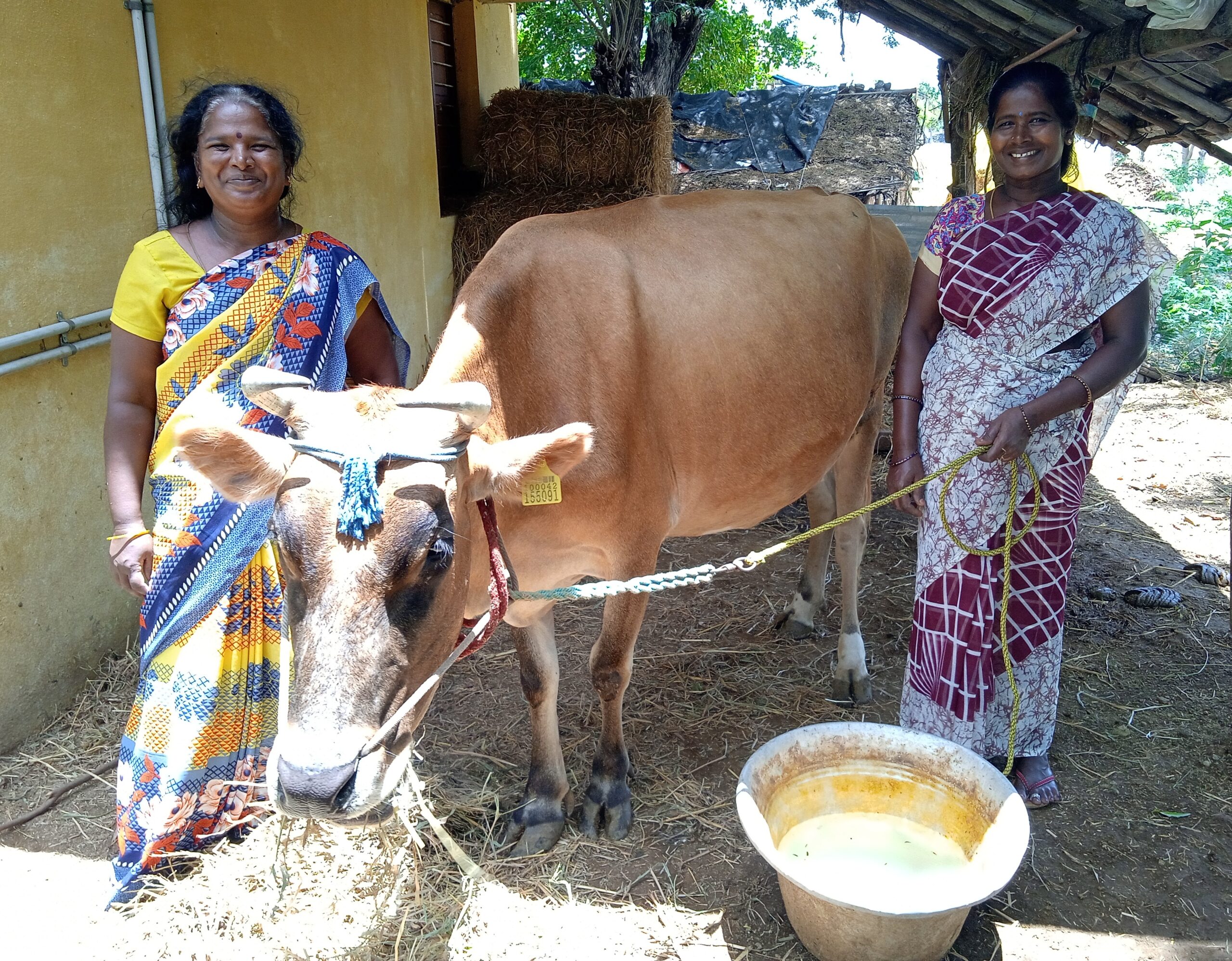 ora in Indien