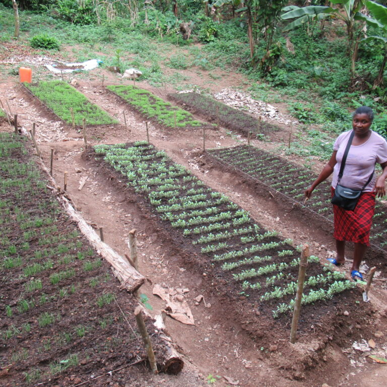 ora in Haiti