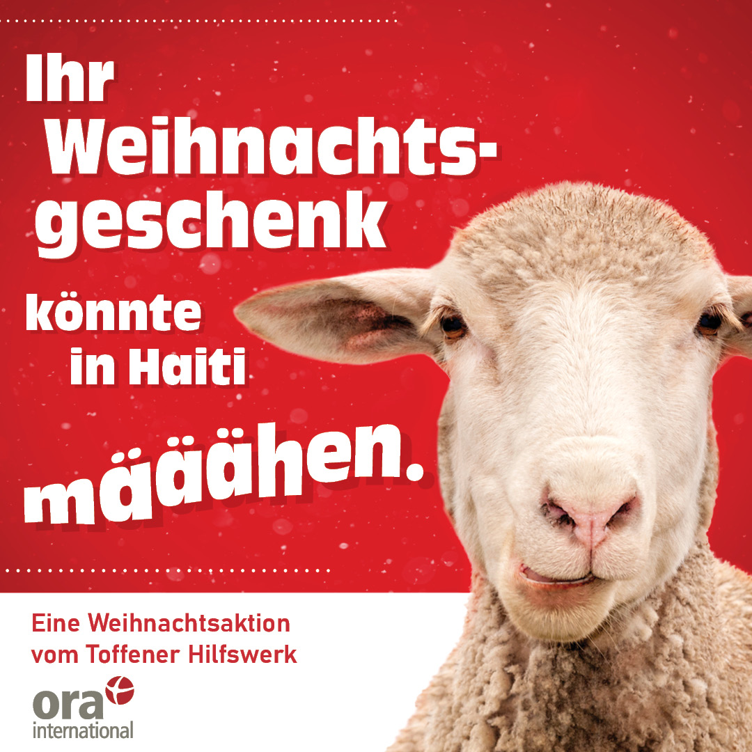ora-international-christmas-sheep